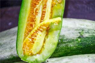 吃瓜爆料最近网红,揭秘吃瓜群众的狂欢盛宴！